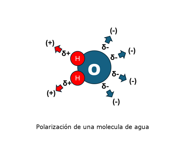 Polarización de la molecula del agua.
